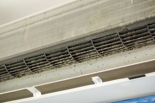 Ductwork Cleaning Services in Hamilton, TX