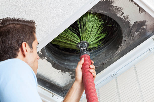Best Affordable Duct Cleaning Services  in Hamilton, TX